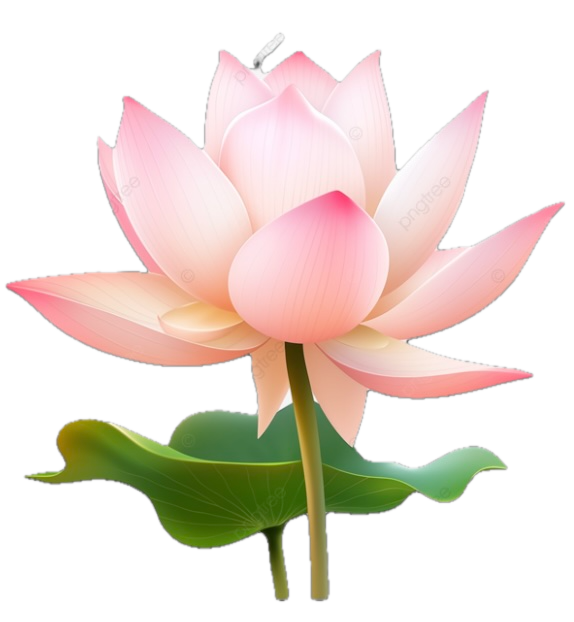 Floral Foam Refills - 4 Pack