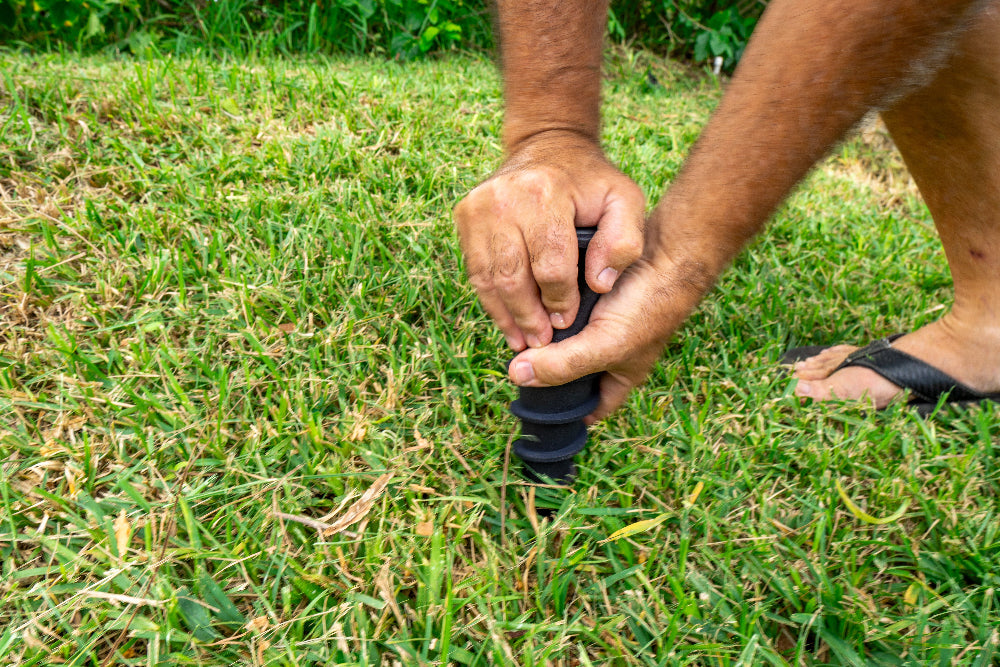Ground Spike in grass